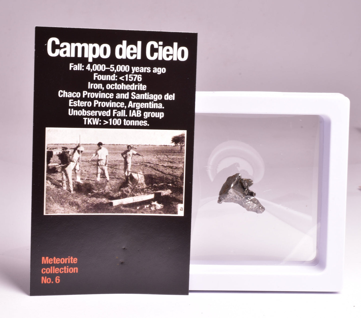 CAMPO DEL CIELO METEORITE, ARGENTINA, FOUND:1576 MT105