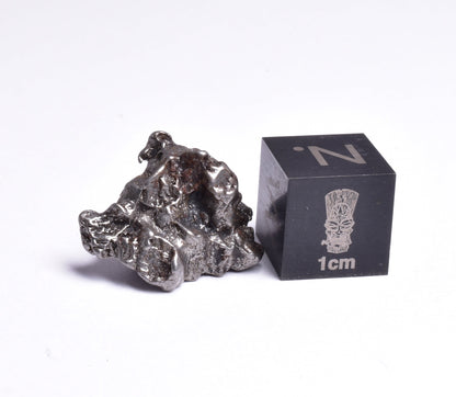 CAMPO DEL CIELO METEORITE, ARGENTINA, FOUND:1576 MT108