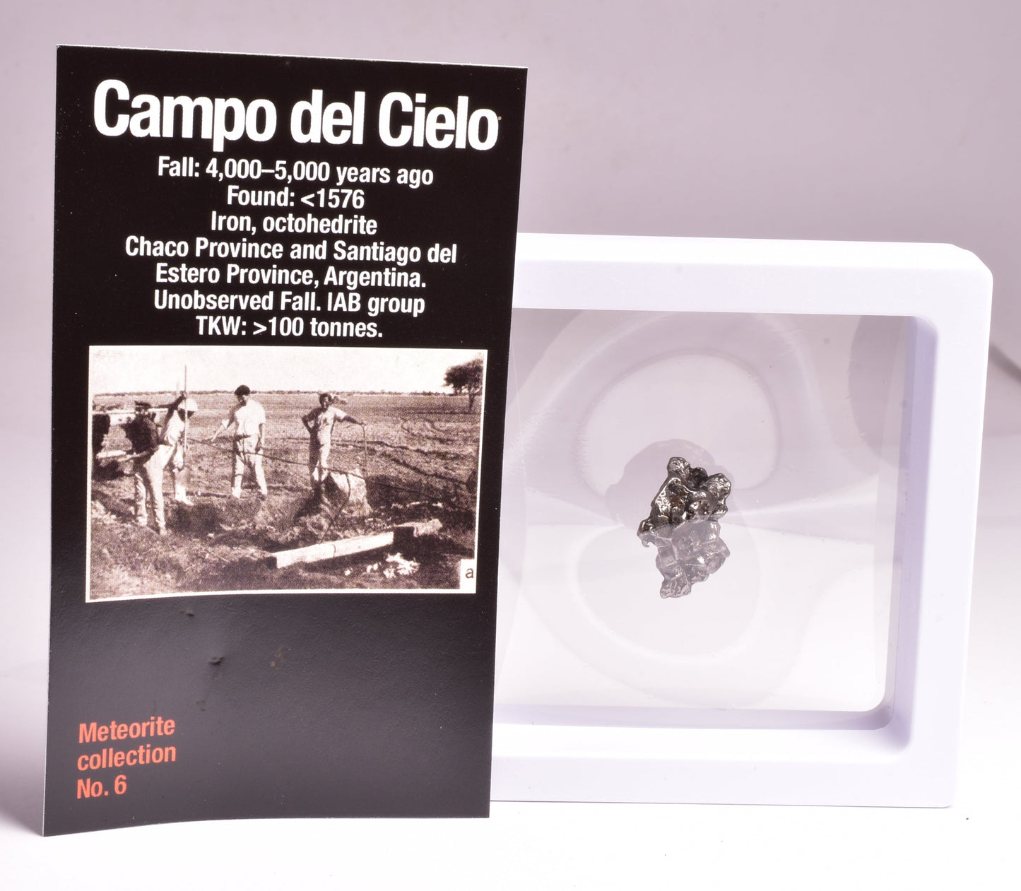 CAMPO DEL CIELO METEORITE, ARGENTINA, FOUND:1576 MT108