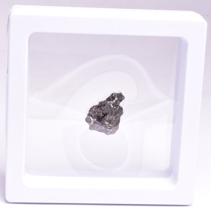 CAMPO DEL CIELO METEORITE, ARGENTINA, FOUND:1576 MT117