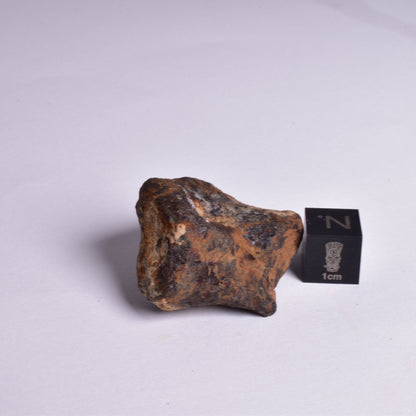 MUNDRABILLA IRON METEORITE, Western Australia MT48