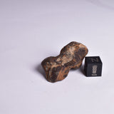 MUNDRABILLA IRON METEORITE, Western Australia MT48