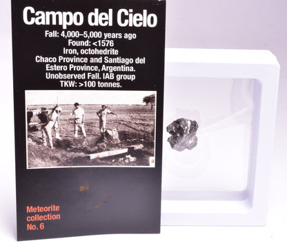 CAMPO DEL CIELO METEORITE, ARGENTINA, FOUND:1576 MT118