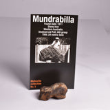 MUNDRABILLA IRON METEORITE, Western Australia MT48