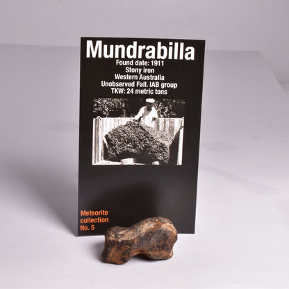 MUNDRABILLA IRON METEORITE, Western Australia MT48