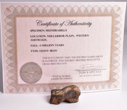 MUNDRABILLA IRON METEORITE, Western Australia MT48