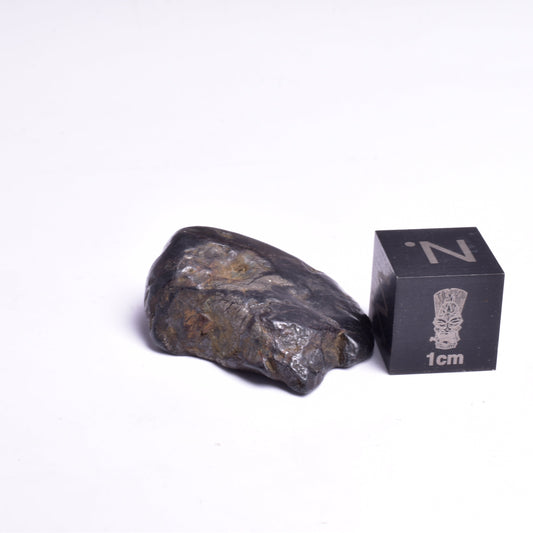 NANTAN NICKEL- IRON METEORITE, CHINA MT24