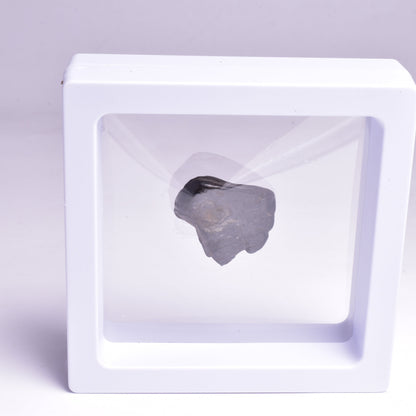 NANTAN NICKEL- IRON METEORITE, CHINA MT24