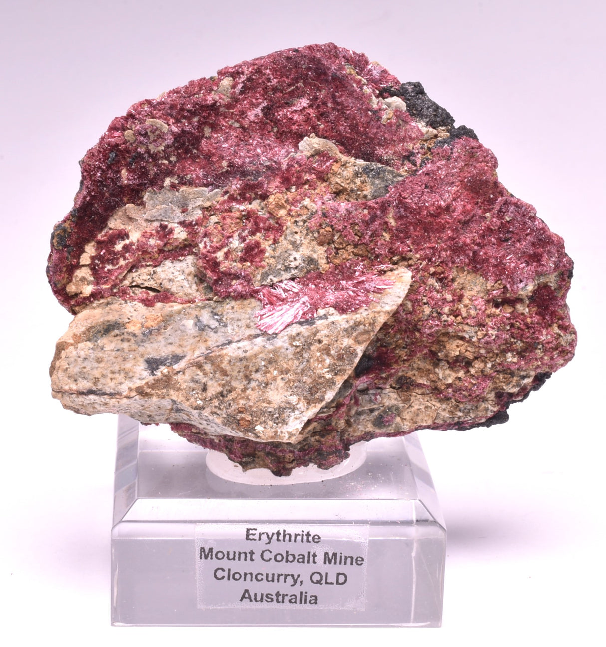 ERYTHRITE NATURAL FORM ON STAND MINERAL, CLONCURRY, AUSTRALIA M124