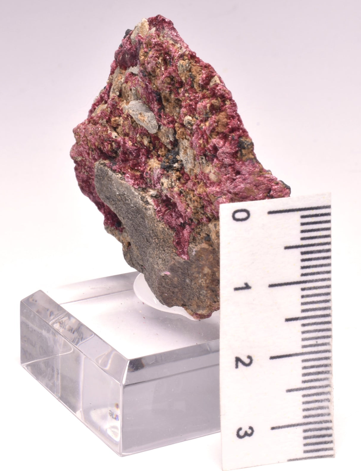 ERYTHRITE NATURAL FORM ON STAND MINERAL, CLONCURRY, AUSTRALIA M124