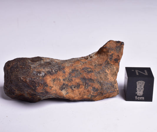 MUNDRABILLA IRON METEORITE, Western Australia MT72