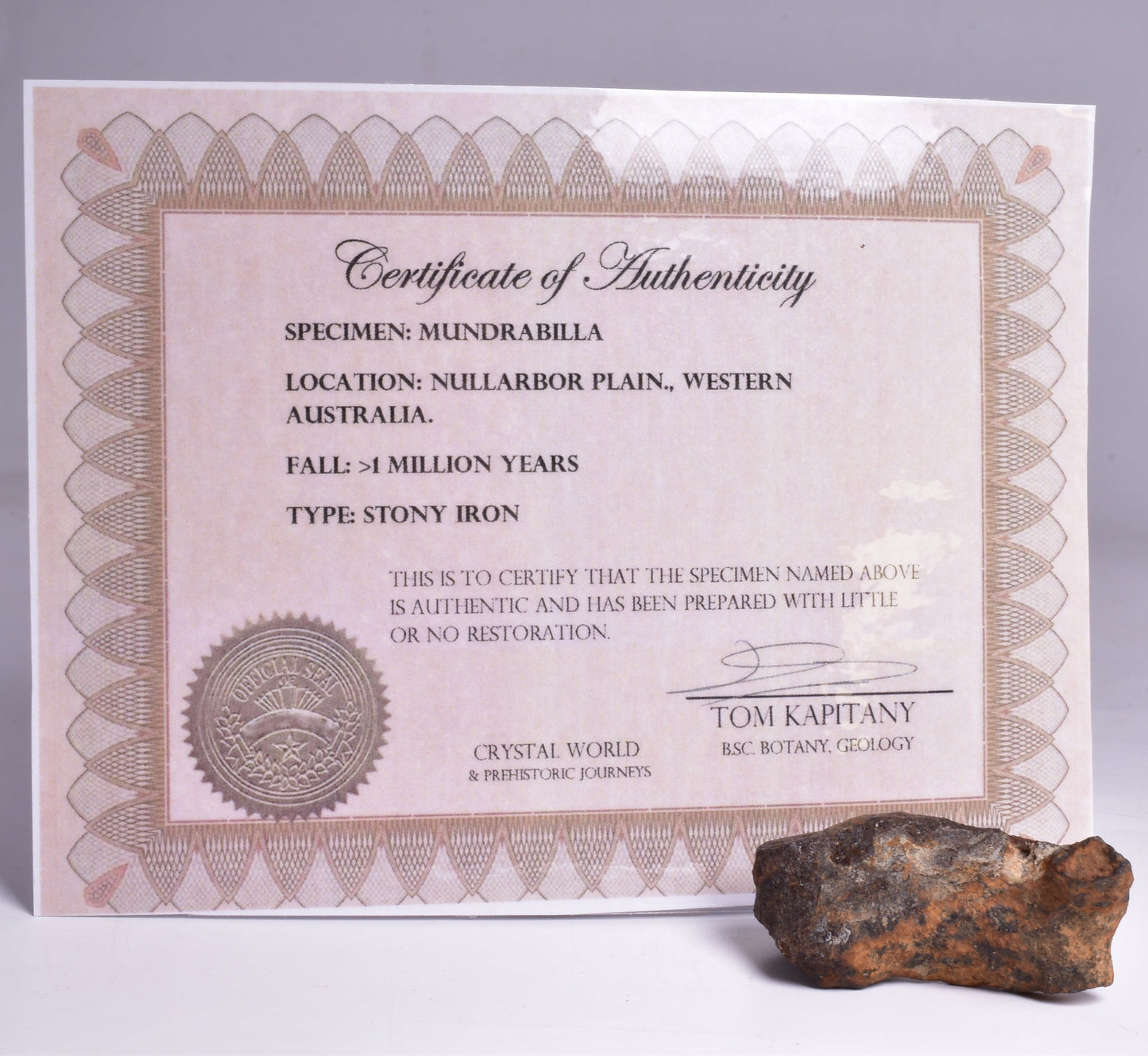 MUNDRABILLA IRON METEORITE, Western Australia MT72