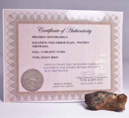 MUNDRABILLA IRON METEORITE, Western Australia MT72