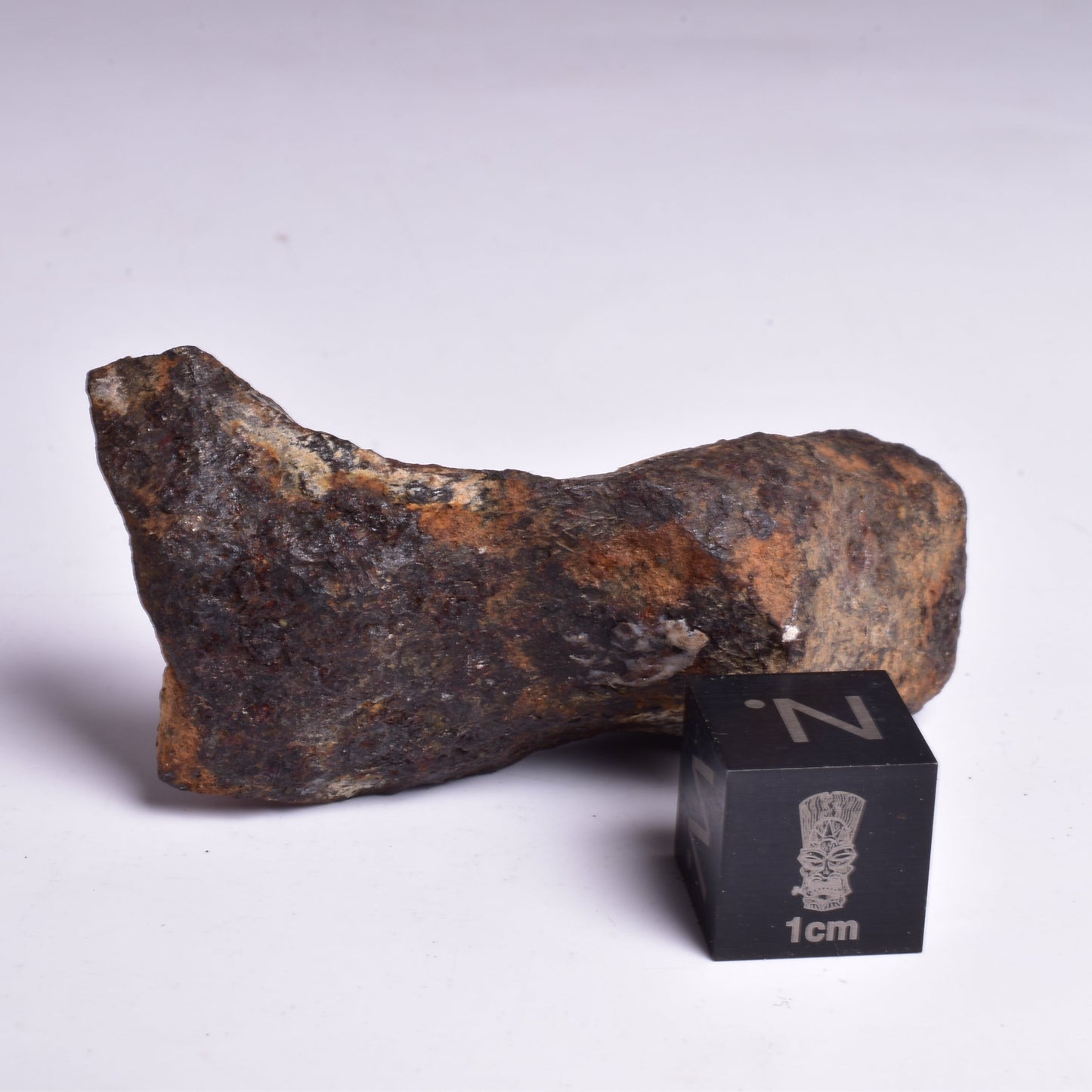 MUNDRABILLA IRON METEORITE, Western Australia MT72