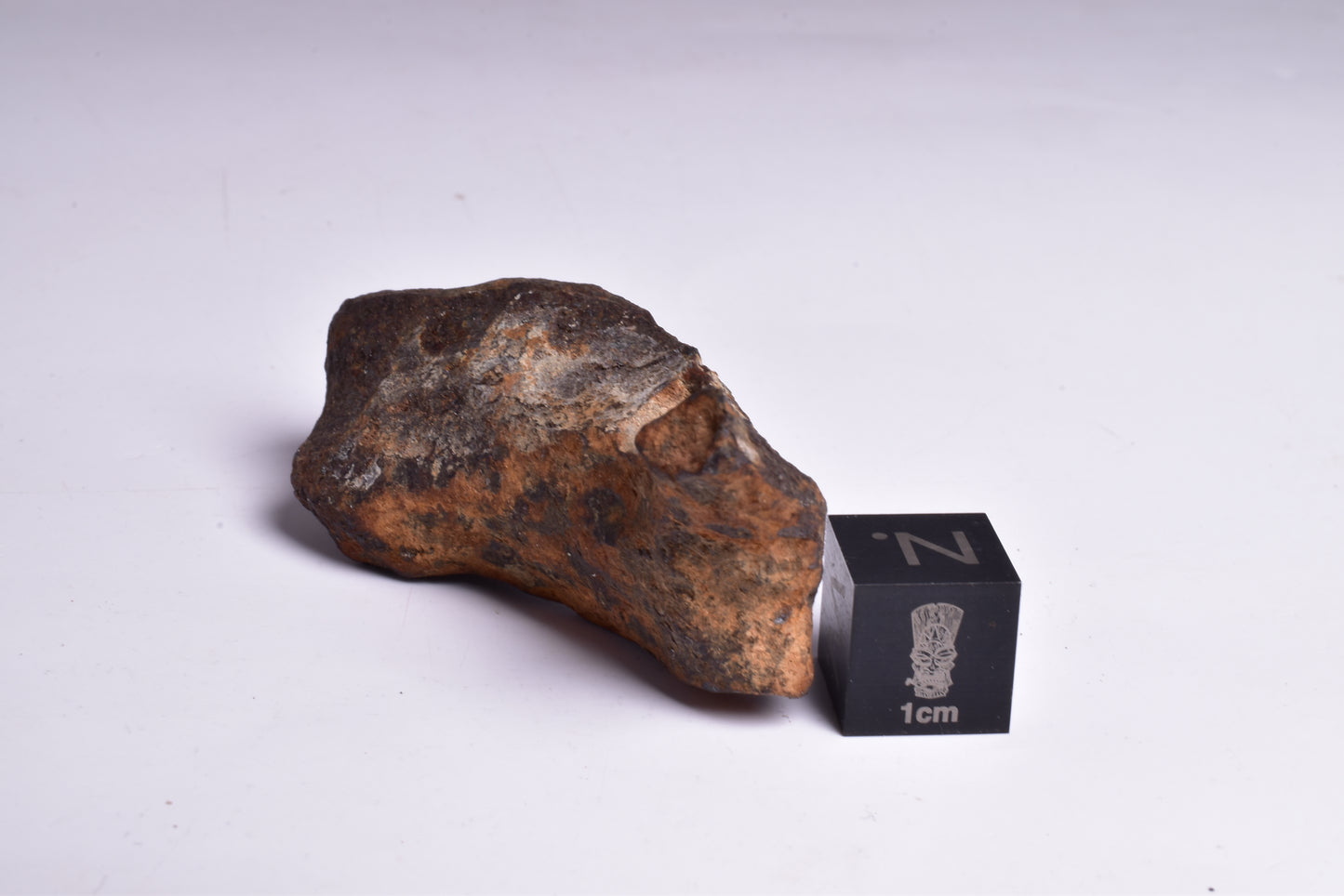 MUNDRABILLA IRON METEORITE, Western Australia MT72