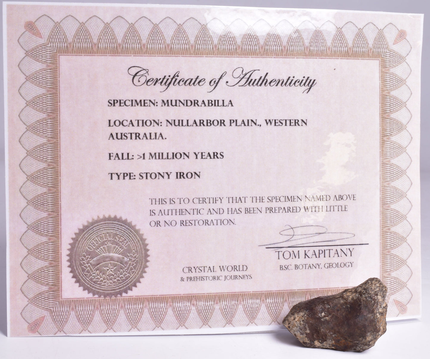 MUNDRABILLA IRON METEORITE, Western Australia MT71