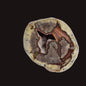 THUNDEREGG HALF, AGATE CREEK AUSTRALIA P686