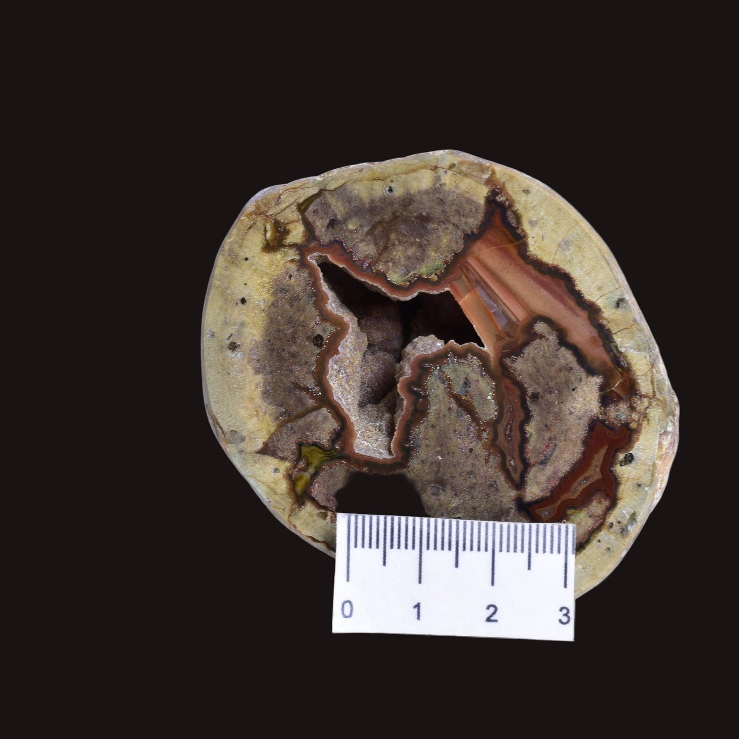 THUNDEREGG HALF, AGATE CREEK AUSTRALIA P686