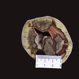 THUNDEREGG HALF, AGATE CREEK AUSTRALIA P686