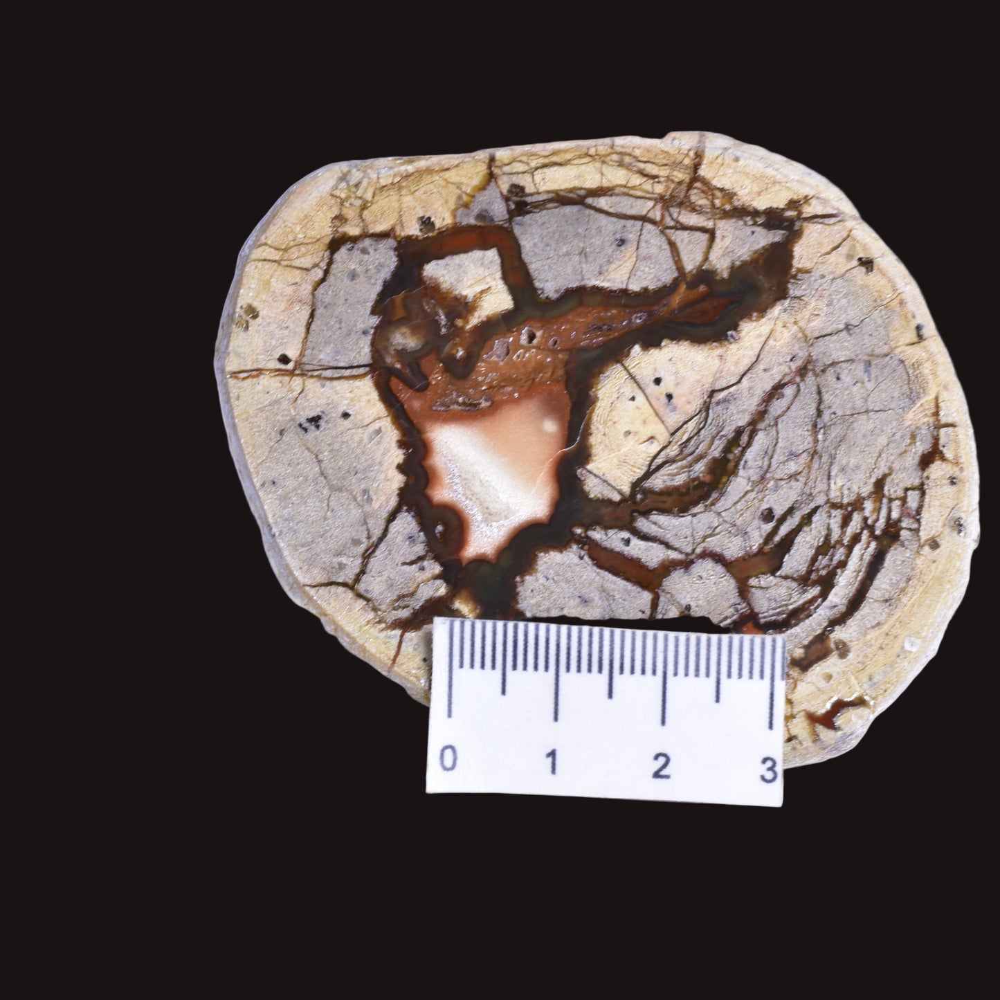 THUNDEREGG HALF, AGATE CREEK AUSTRALIA P684