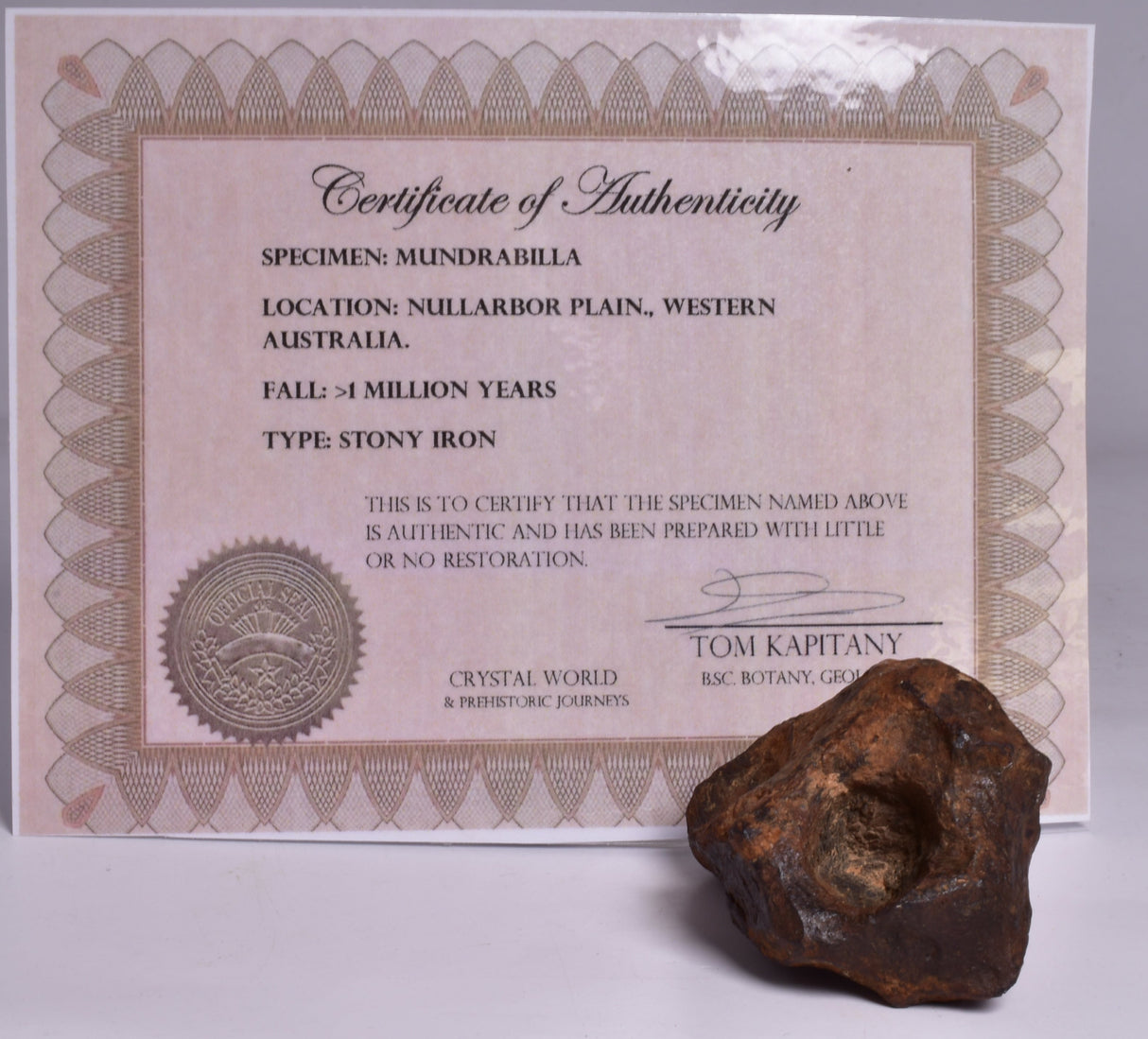 MUNDRABILLA IRON METEORITE with HOLES, VERY RARE, STONY IRON, AUSTRALIA MT73