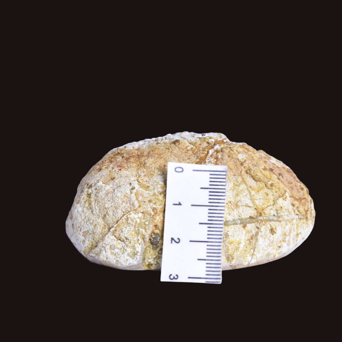 THUNDEREGG HALF, AGATE CREEK AUSTRALIA P684