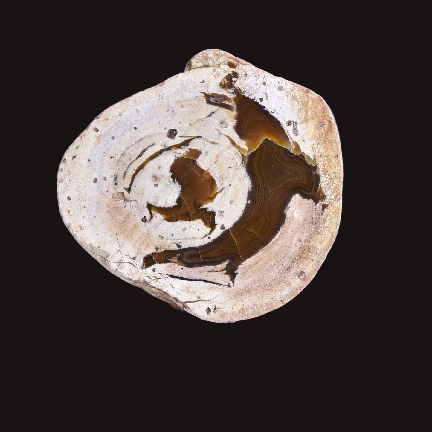 THUNDEREGG HALF, AGATE CREEK AUSTRALIA P685
