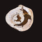 THUNDEREGG HALF, AGATE CREEK AUSTRALIA P685