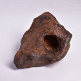 MUNDRABILLA IRON METEORITE with HOLES, VERY RARE, STONY IRON, AUSTRALIA MT73
