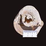 THUNDEREGG HALF, AGATE CREEK AUSTRALIA P685