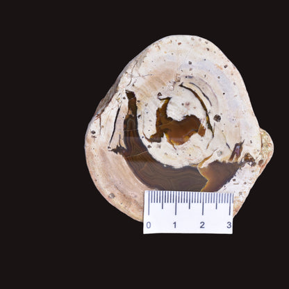 THUNDEREGG HALF, AGATE CREEK AUSTRALIA P685