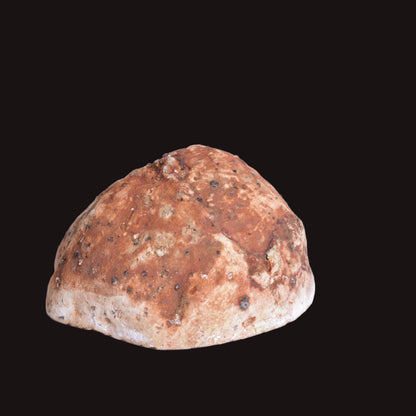 THUNDEREGG HALF, AGATE CREEK AUSTRALIA P685
