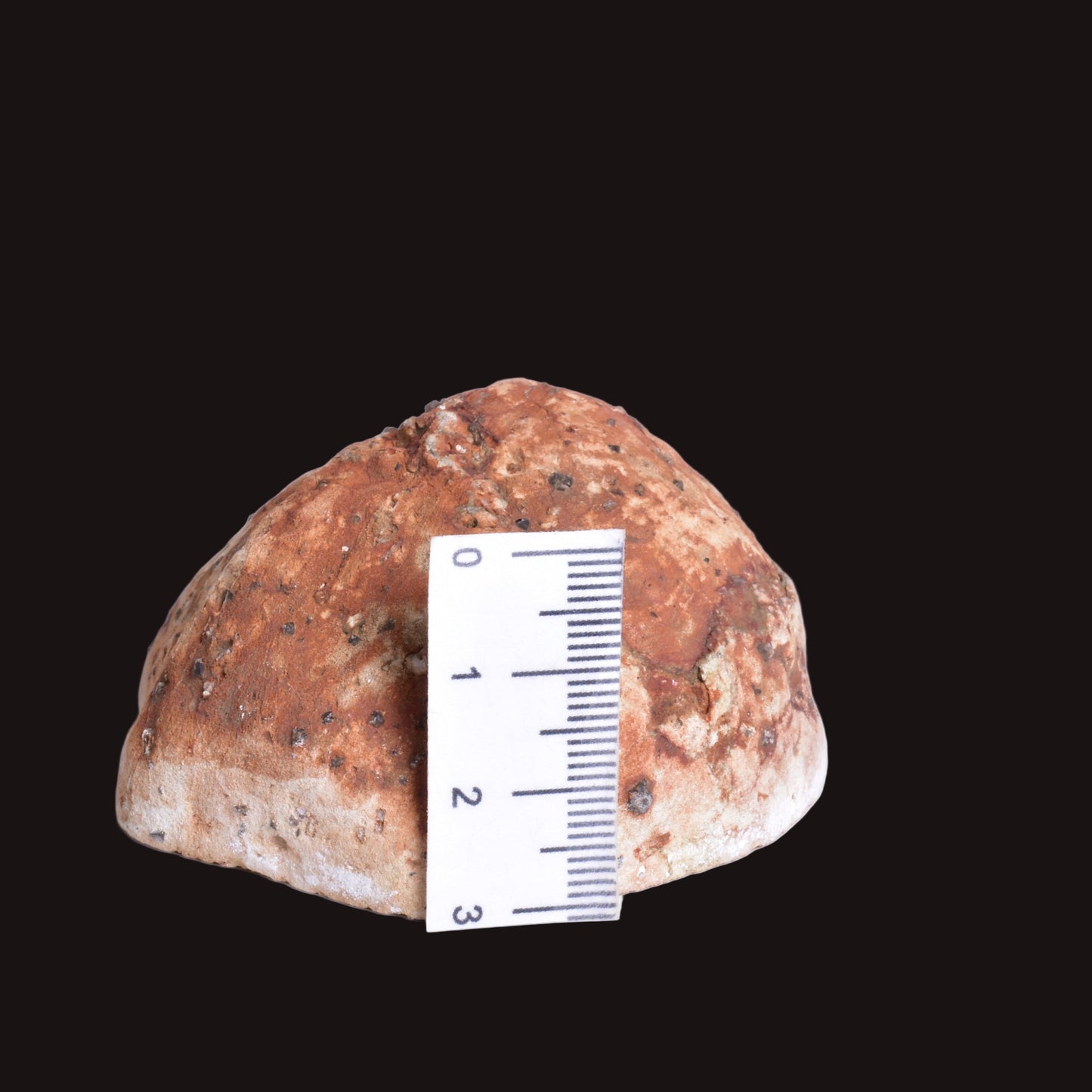 THUNDEREGG HALF, AGATE CREEK AUSTRALIA P685