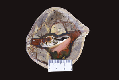 THUNDEREGG HALF, AGATE CREEK AUSTRALIA P687