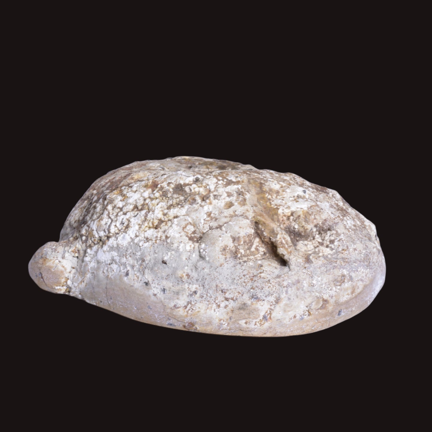 THUNDEREGG HALF, AGATE CREEK AUSTRALIA P687
