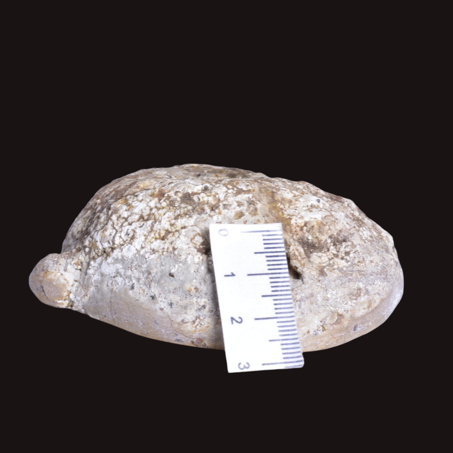 THUNDEREGG HALF, AGATE CREEK AUSTRALIA P687