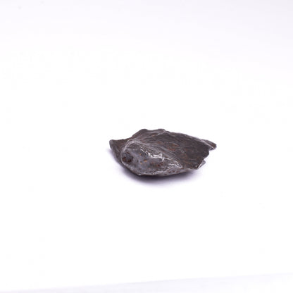SIKHOTE-ALIN IRON COARSE METEORITE, FELL 1947, SIBERIA USSR MT148