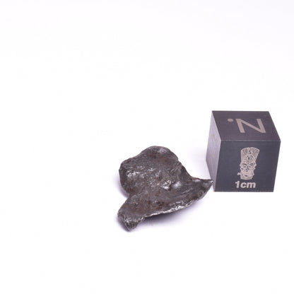 SIKHOTE-ALIN IRON COARSE METEORITE, FELL 1947, SIBERIA USSR MT149