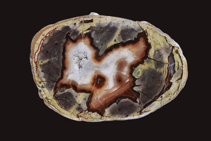 THUNDEREGG HALF, AGATE CREEK AUSTRALIA P688