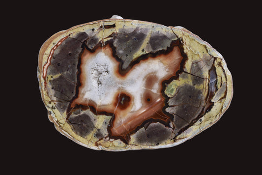 THUNDEREGG HALF, AGATE CREEK AUSTRALIA P688