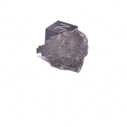 SIKHOTE-ALIN IRON COARSE METEORITE, FELL 1947, SIBERIA USSR MT148