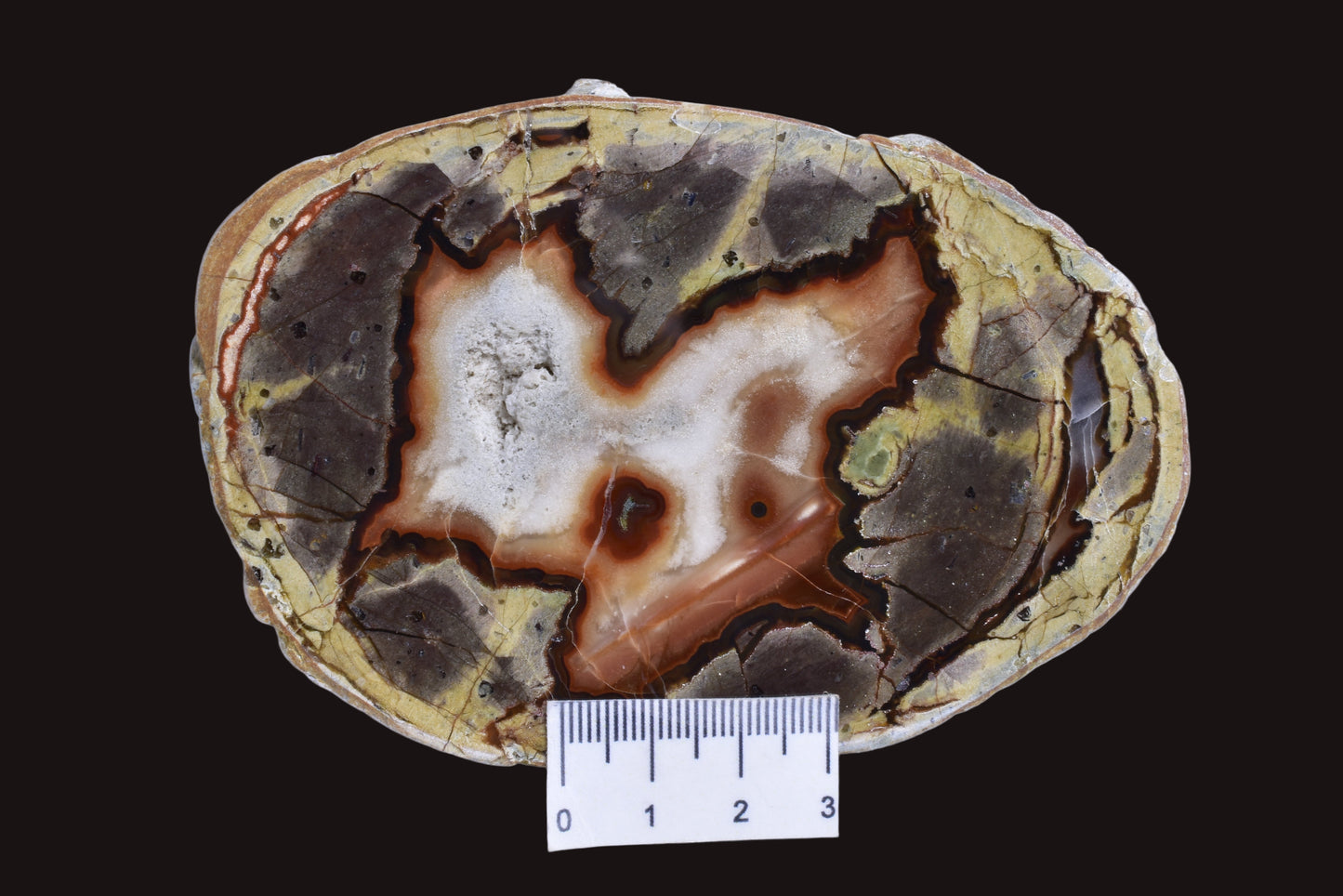 THUNDEREGG HALF, AGATE CREEK AUSTRALIA P688