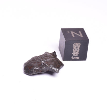 SIKHOTE-ALIN IRON COARSE METEORITE, FELL 1947, SIBERIA USSR MT149
