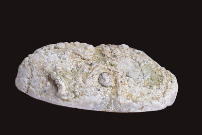 THUNDEREGG HALF, AGATE CREEK AUSTRALIA P688