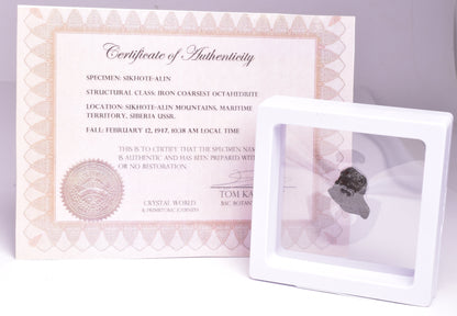 SIKHOTE-ALIN IRON COARSE METEORITE, FELL 1947, SIBERIA USSR MT149