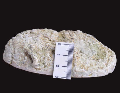 THUNDEREGG HALF, AGATE CREEK AUSTRALIA P688