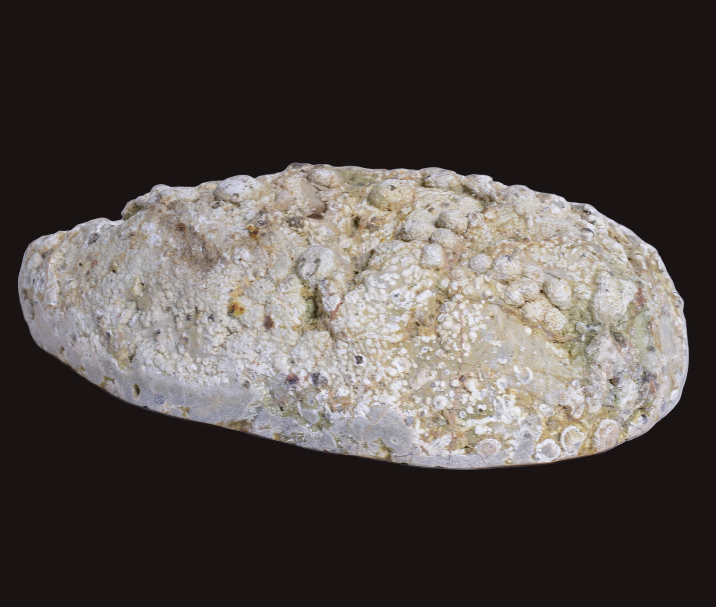 THUNDEREGG HALF, AGATE CREEK AUSTRALIA P688