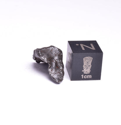 SIKHOTE-ALIN IRON COARSE METEORITE, FELL 1947, SIBERIA USSR MT154