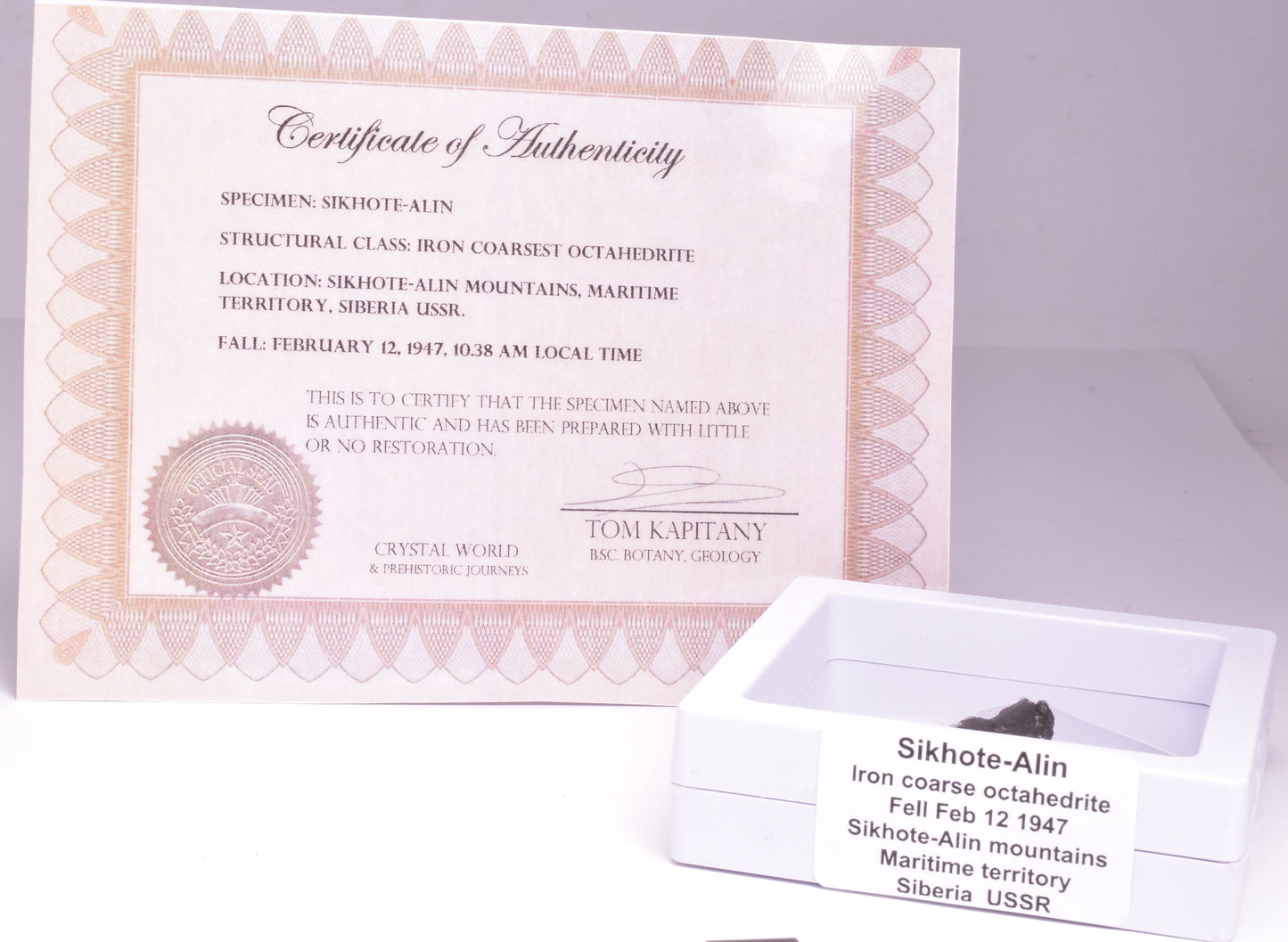 SIKHOTE-ALIN IRON COARSE METEORITE, FELL 1947, SIBERIA USSR MT154