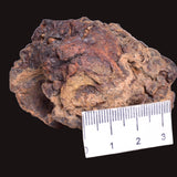 WOLF CREEK SHALE BALL METEORITE MT158